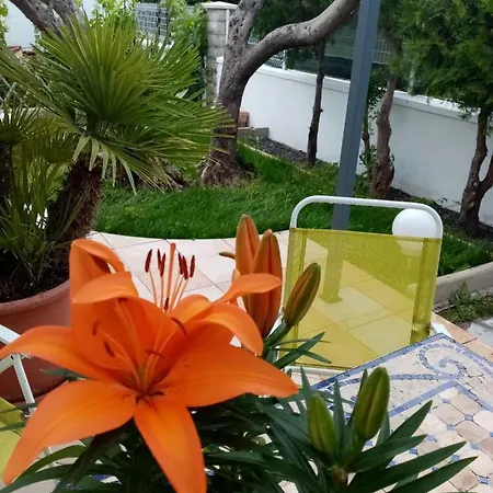 Le Flamant Rose Bed & Breakfast